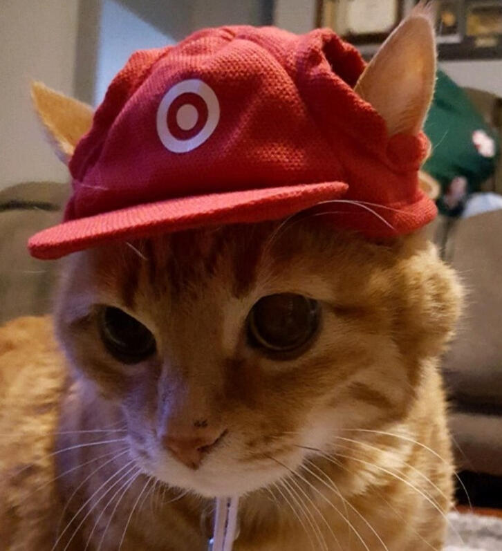 Target Employee Garf Target Employee Garf