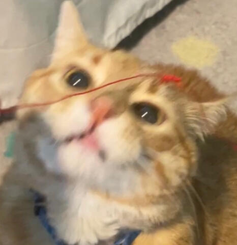 String String